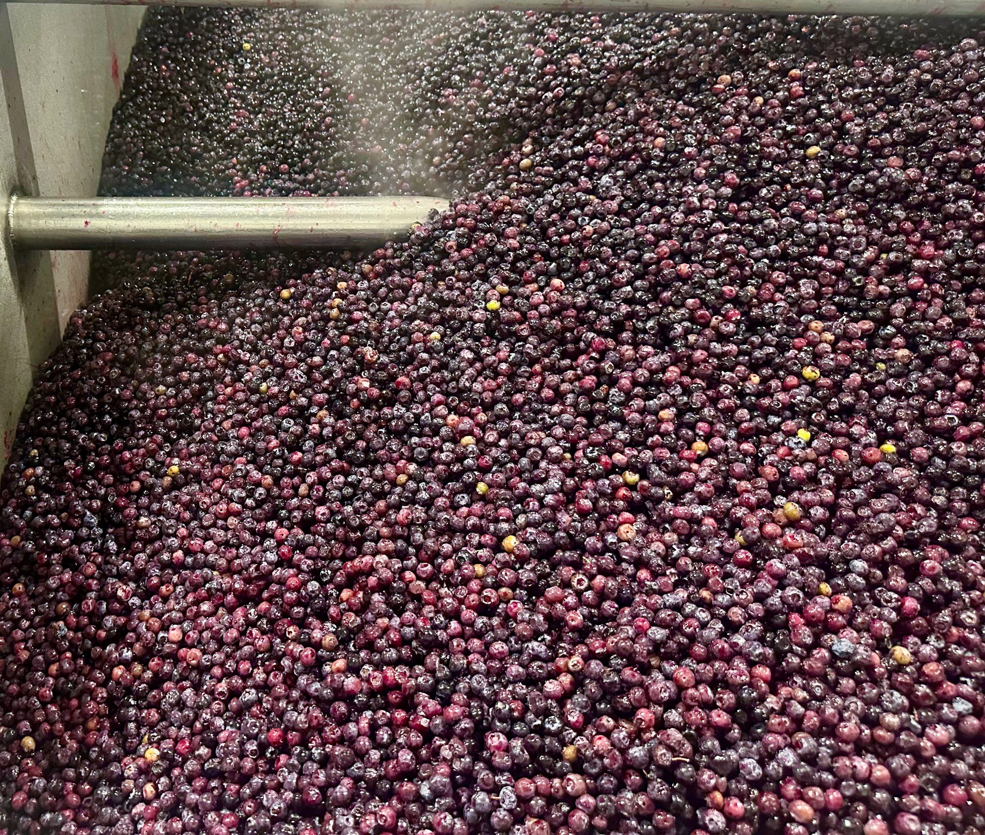 Oregon Raspberry Puree Oregon Puree
